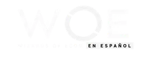 Wizards of Ecom en Español